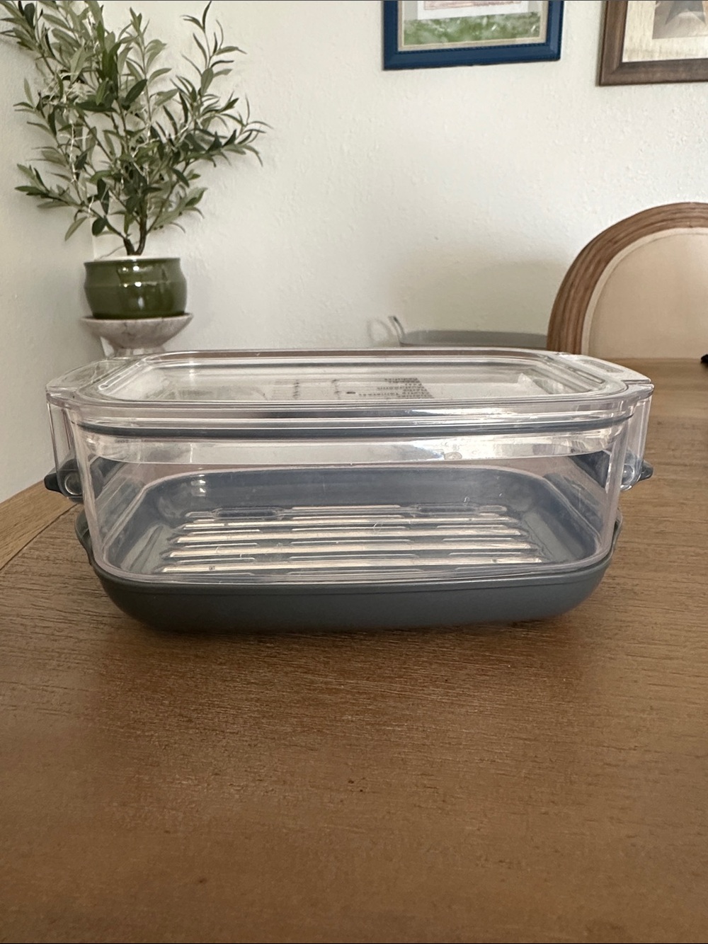 🍓🫐 Produce ProKeeper Stay Fresh Container with Gray Base by Progressive - Picture 4 of 12